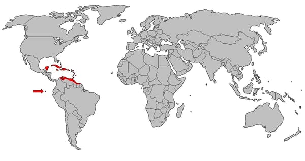 Distribución de Phoenicopterus ruber