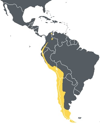 Range map for the Andean Condor with national borders added. Source:National Geographic