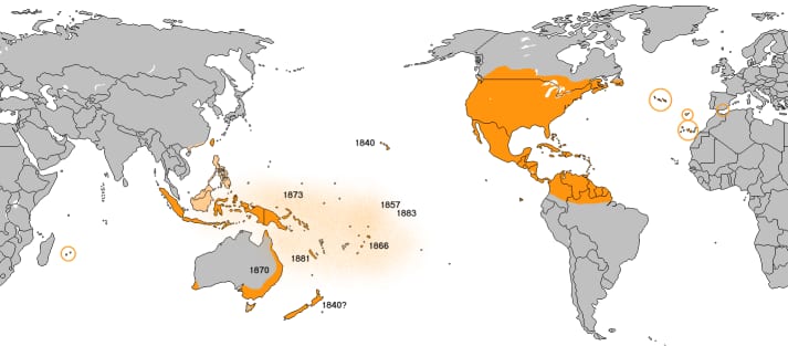 Distribution of Monarch Butterfly Danaus plexippus (small, with dates)