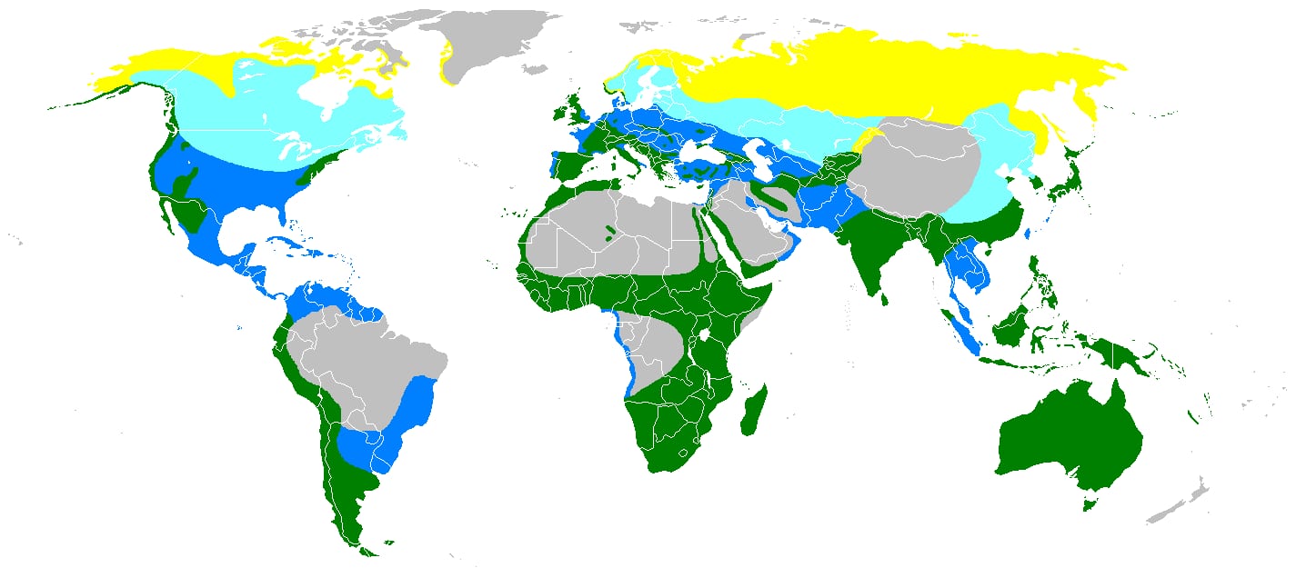 Range map for Falco peregrinus (including F. (p.) pelegrinoides, the Barbary falcon) Breeding summer visitor Breeding resident Winter visitor Passage visitor