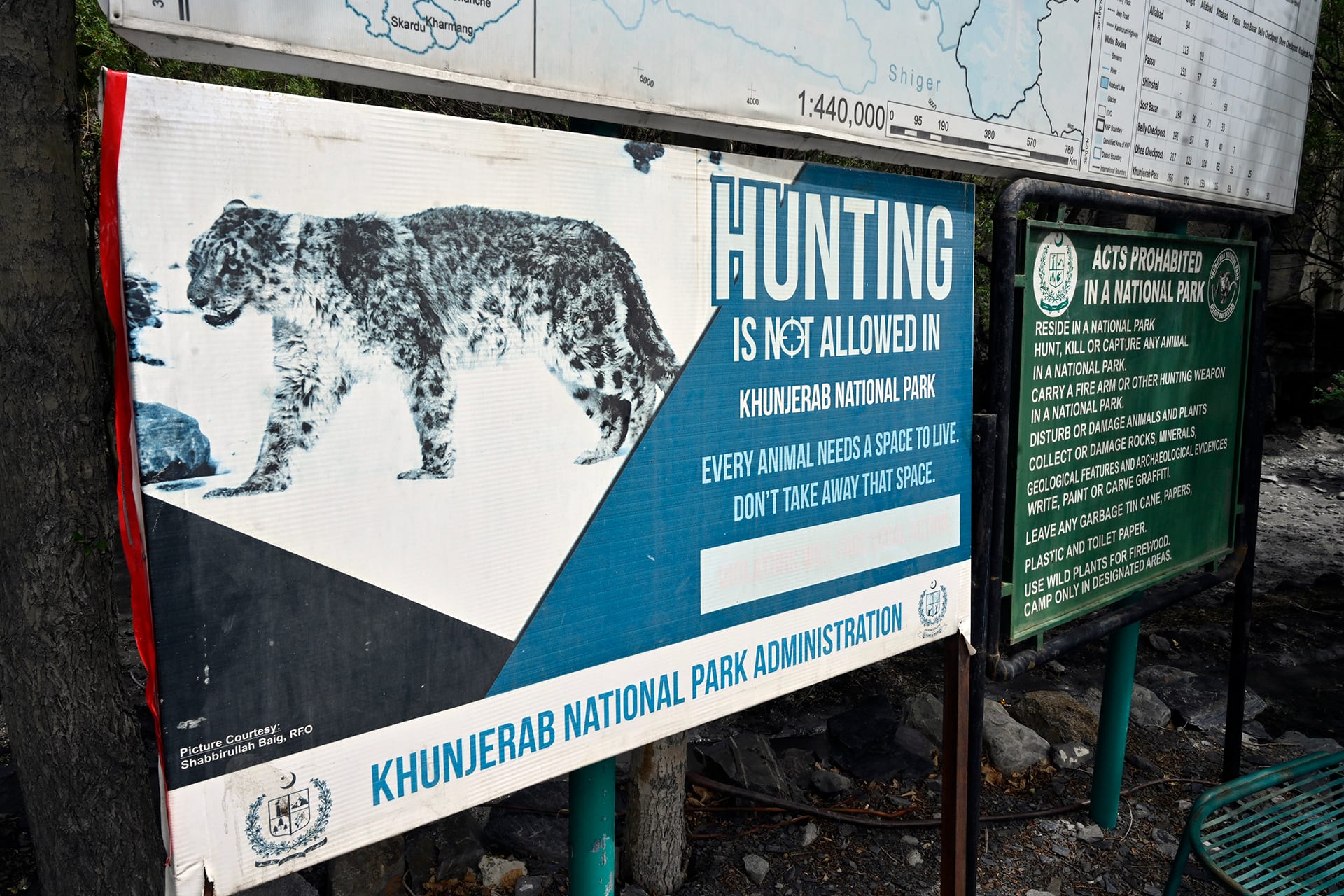 A snow leopard photographed in Khunjerab National Park, padding across rocky terrain with its long, thick tail trailing behind.